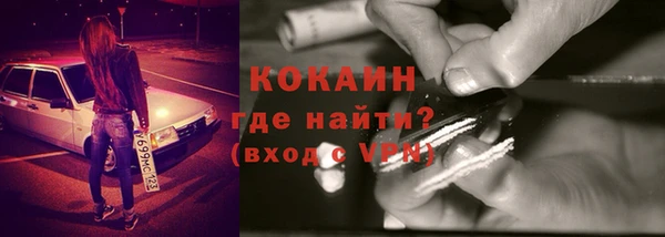 дживик Алексин